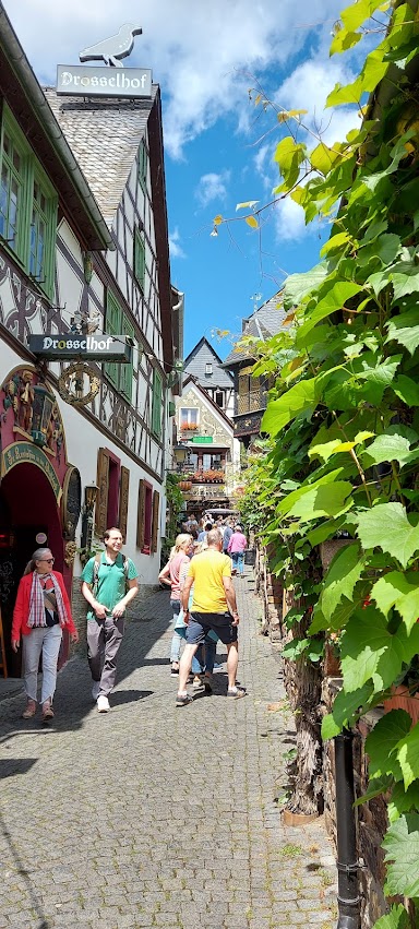 Rüdesheim