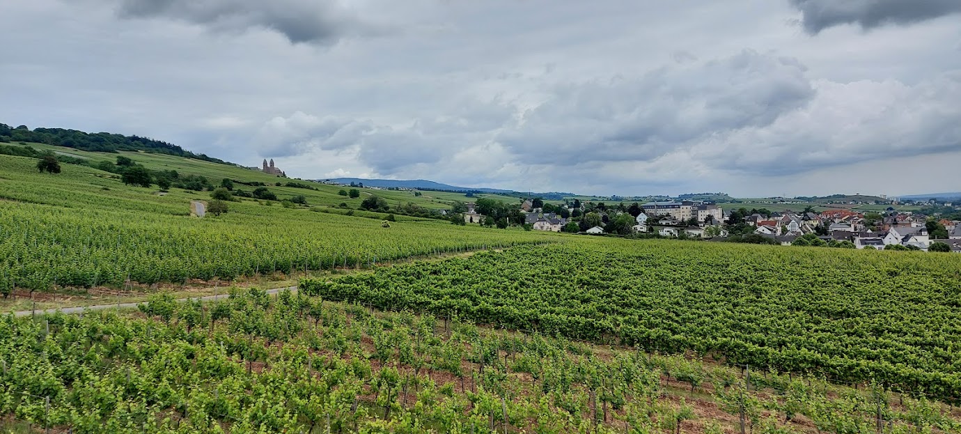 Rüdesheim