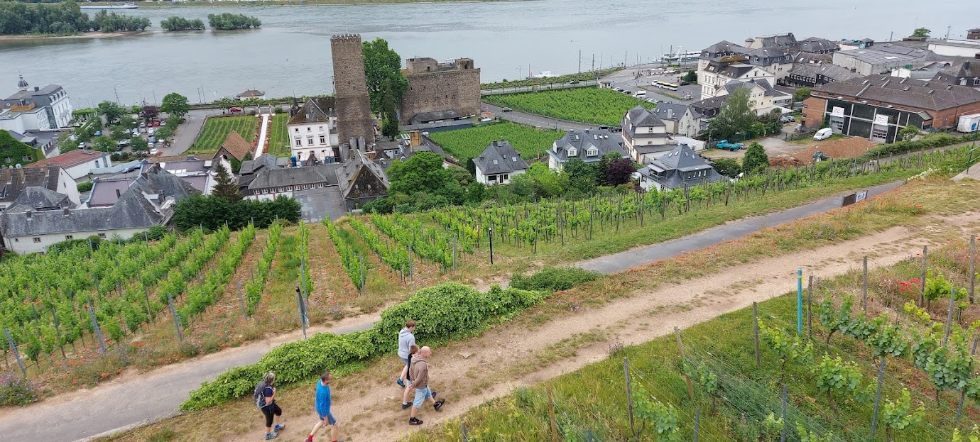 Rüdesheim