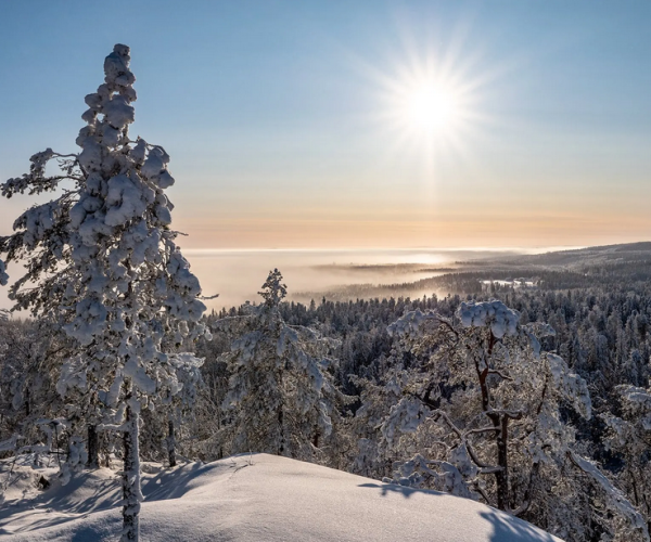 Vuokatti