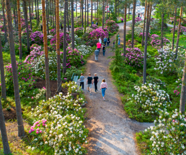 Raision Alppiruusupuisto.