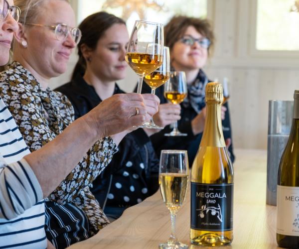 Meggalan viinitila tasting.