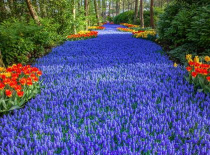 Keukenhof