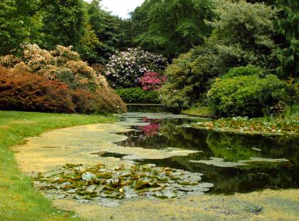 Trompenburgin arboretum