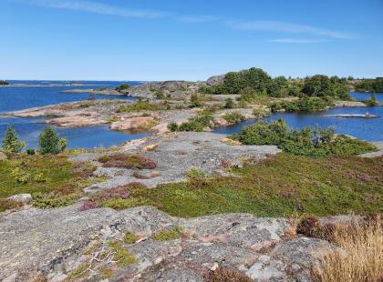 Björkön sisäjärveä