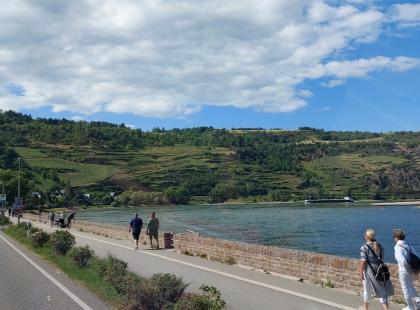 Rüdesheim