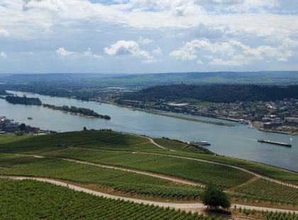 Rüdesheim