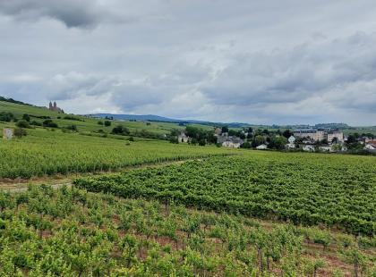 Rüdesheim