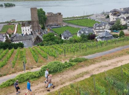 Rüdesheim