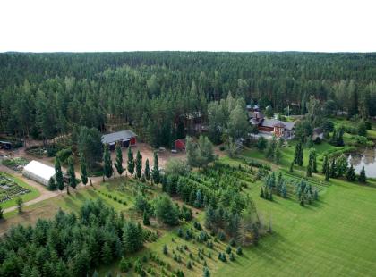 Ilolan ilmakuva Kuva: Ilolan Arboretum