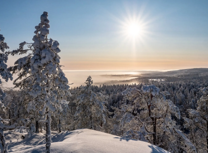 Vuokatti