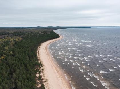 Narva-Joesuun pitkä hiekkaranta ilmakuvattuna.
