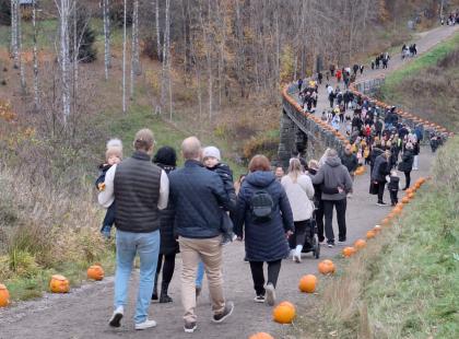 Rannikon Puutarhan Kurpitsapuisto, kuva: Juurevasti Juurista.