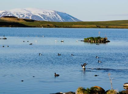 Myvatn