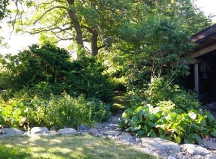 Källskärin puutarha - viherkasveja ja puutarhamaja