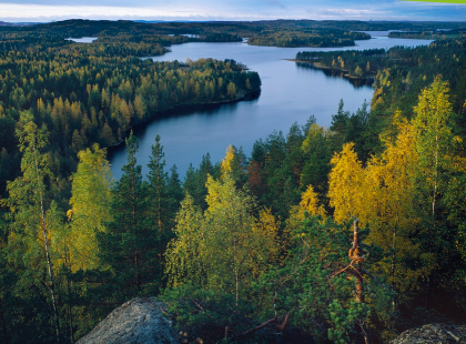 Maisema Neitvuorelta - metsää, järvi