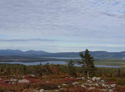 Näkymä Särkitunturilta järville.