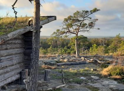 Söderlångvikin laavu