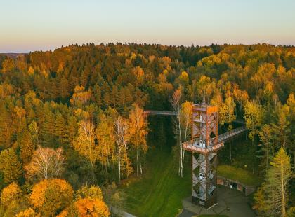 Treetop walk.