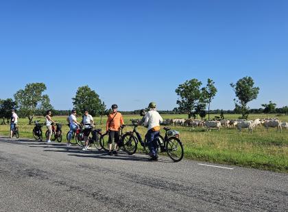 Pyörämatkalla Virossa