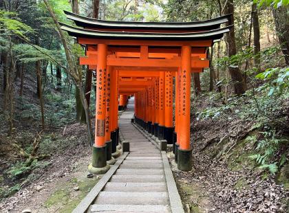Kioto Fushimi Inari-taisha.