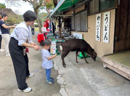 Peurojen ja temppeliden Nara.