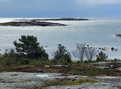 Trunsön maisemia. Kuva Ben Johansson