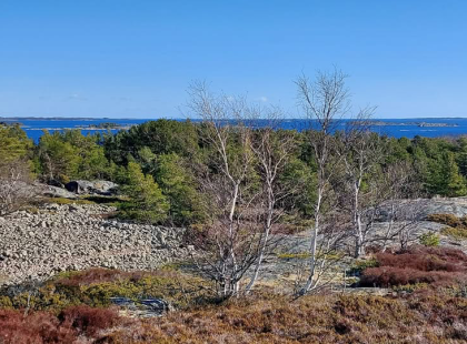 Trunsön maisemia. Kuva Ben Johansson