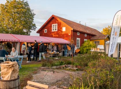 Maatilan pihalla ihmisiä Skördefestenissä.