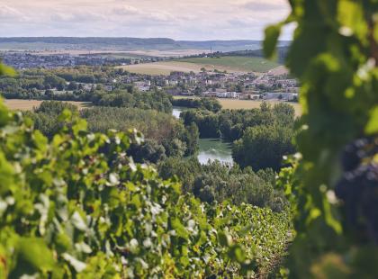 Champagnen alueen viinitarhoja ja maisemaa. Kuva Epernay Tourisme.