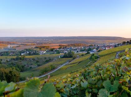 Champagnen alueen pelto- ja viinitarhamaisemaa. Kuva Epernay Tourisme.